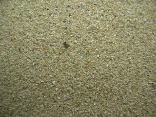 Playa Guanabo